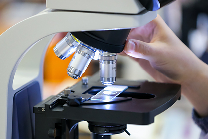 Изучен формат кодировки информации мозгом