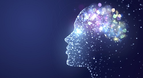 Секреты мозга: Между языками существует общая нейронная инфраструктура