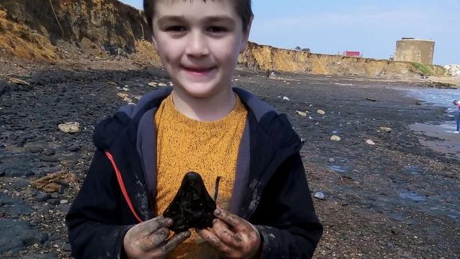 Шестилетний мальчик случайно наткнулся на зуб мегалодона на британском пляжеIt