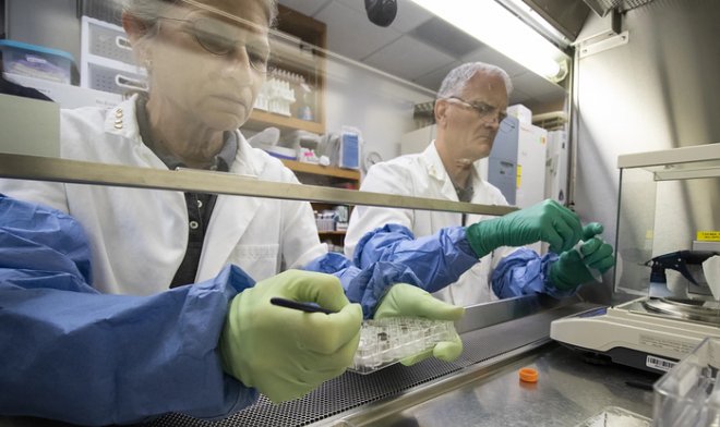 Ученым впервые удалось вырастить растения в лунном грунте