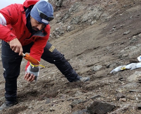 В Антарктиде обнаружены бактерии с генами устойчивости к антибиотикам