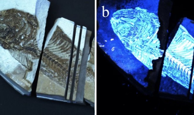 Инструмент BioFinder отыщет следы жизни на других планетах