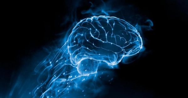 Нейробиологи узнали, что заставляет наш мозг удивляться и как это помогает в обучении