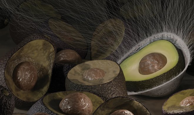 Противомикробное напыление сохраняет продукты свежими на 50% дольше обычных методов