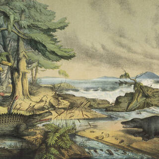 Великое вымирание привело к ускоренному возрождению биосферы