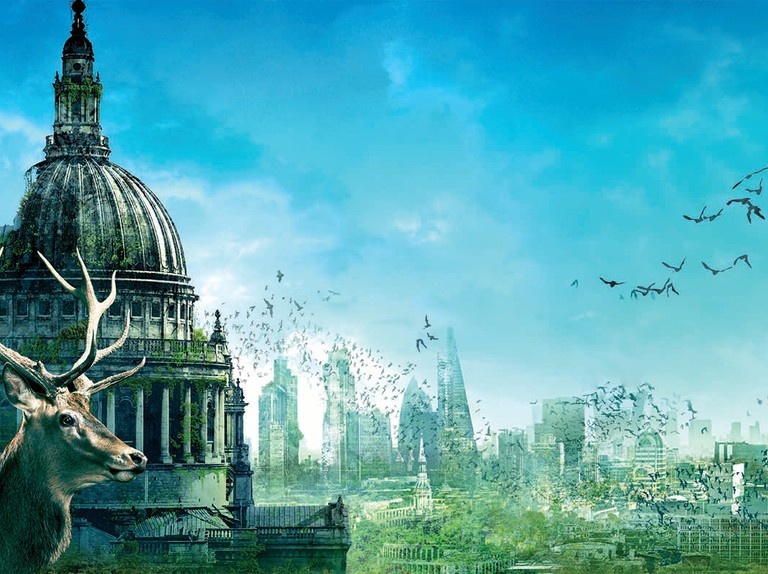 Земля после людей: Какие животные будут процветать?