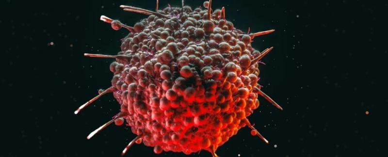 Диетическая добавка снижает риск наследственного рака на 60%, выяснили ученые