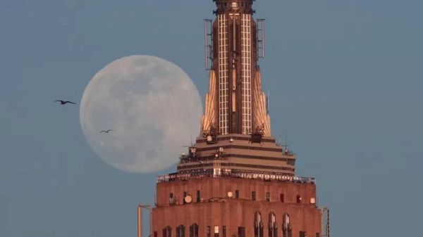 "Оленья луна". В ночь на четверг можно будет увидеть самое яркое суперлуние этого года