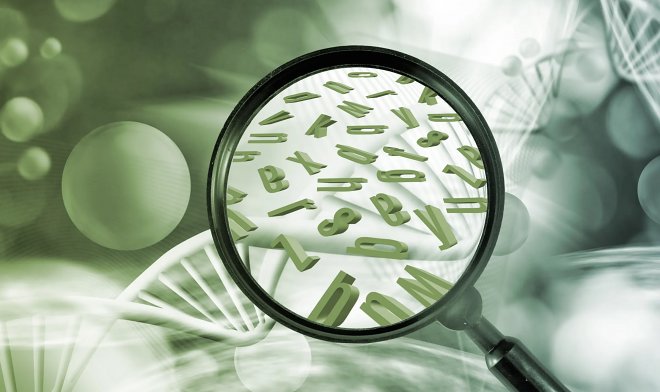 «Пишущая машинка для ДНК» позволит закодировать целые фразы в живых клетках