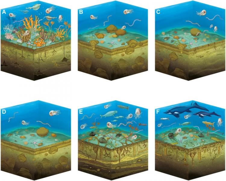 После крупнейшего вымирания на Земле эти животные первыми восстановились после катастрофы