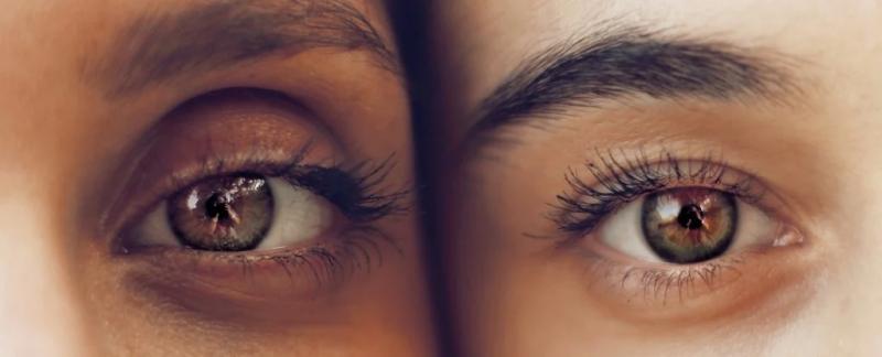 Тест "золотого сечения" для оценки красоты совершенно не соответствует действительности. Эксперт объясняет, почему