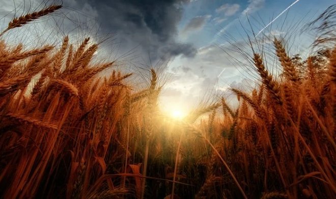 В этом году Всемирный день экологического долга вновь наступил раньше срока 