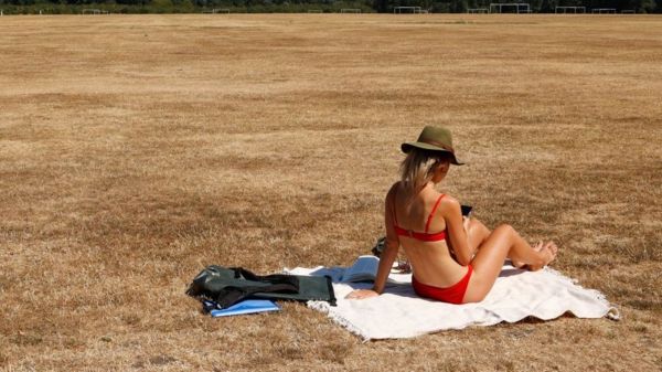 Ученые: такой засухи в Европе не было последние 500 лет