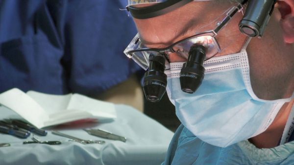 "Не так мертво, как казалось": ученые смогли оживить органы свиньи через час после смерти. Что сулит это открытие?