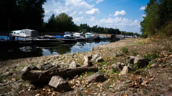 Фото: пересохшие Гарда и Рейн - последствия засухи в Европе