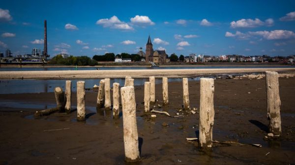 Фото: пересохшие Гарда и Рейн - последствия засухи в Европе