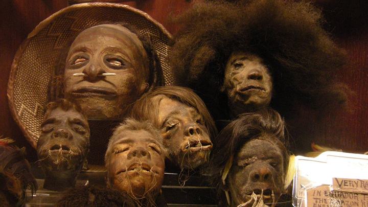 Голова тсантса из канадского музея оказалась человеческой