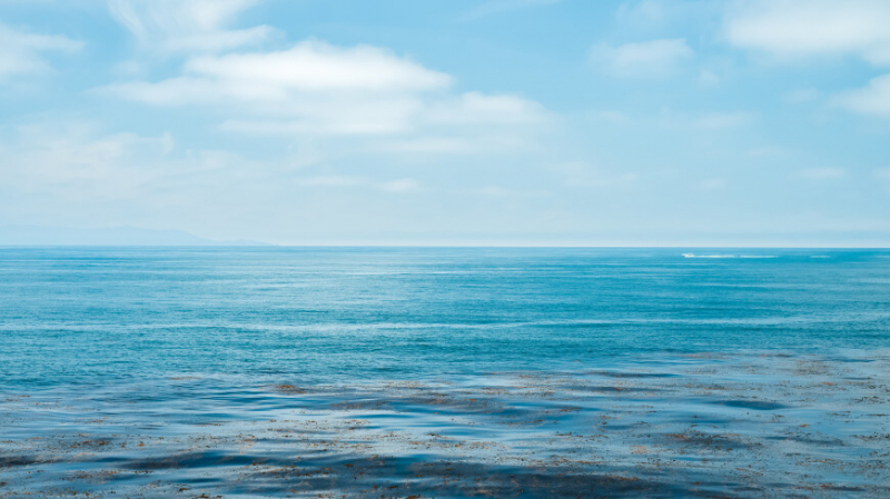 Массовые вымирания в океане связали с движением континентов