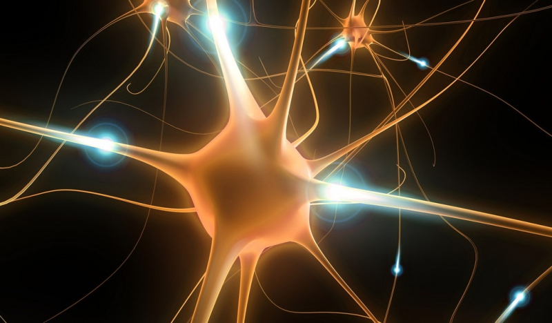 Нейрофизиологи создали реалистичную компьютерную модель нейрона