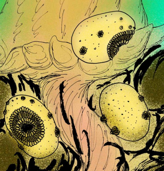 Опровергнуто открытие "потерянного звена эволюции" многоклеточных живых существ