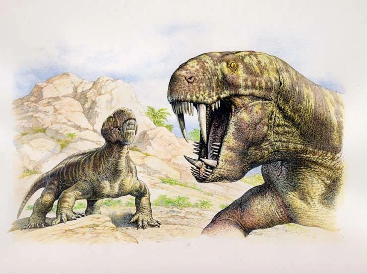 Предки млекопитающих учились ходить и дышать как они еще в пермском периоде