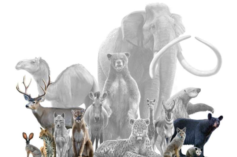 Реконструкция рациона питания в ледниковый период показывает распутывающуюся паутину жизни