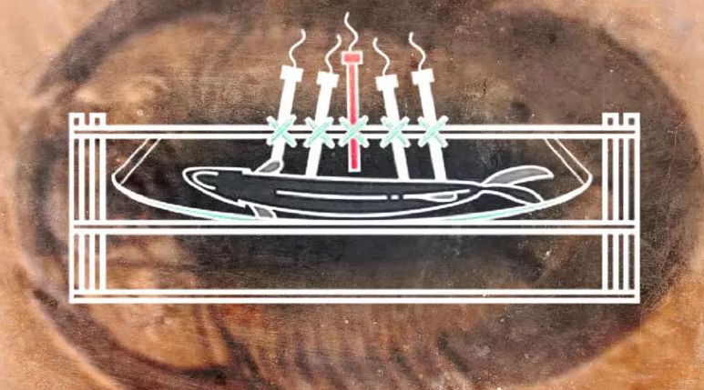 Зачем ученые 70 дней наблюдали за гниением рыбы