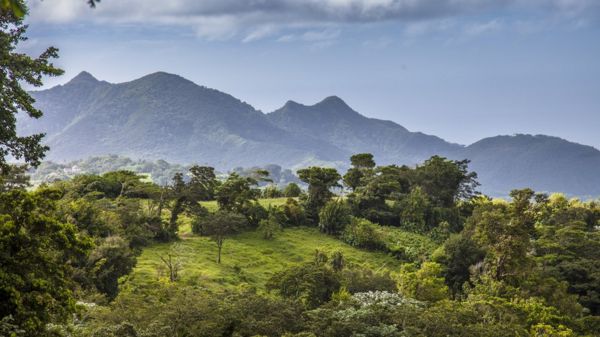 Антигуа и Барбуда могут провести референдум об отказе считать британского монарха главой государства