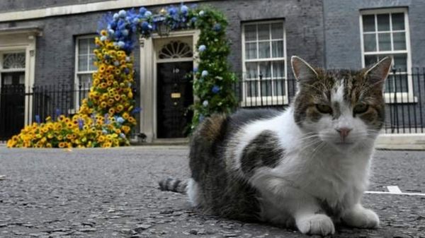 Лиз Трасс официально заняла кресло премьера Великобритании и рассказала о планах своего правительства