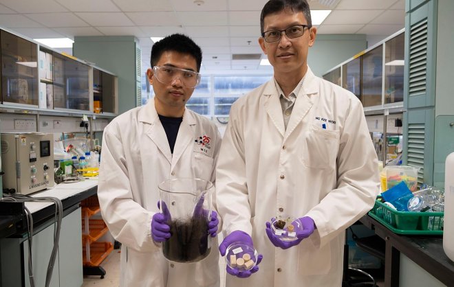 Человеческие волосы оказались на удивление эффективной основой для гидропоники