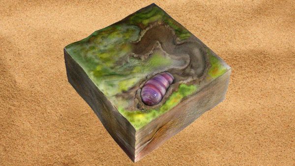 Древний бронированный червь оказался предком трех основных групп животных