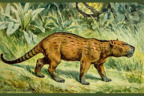 Ученые выяснили, что первые млекопитающие помирали молодыми ради собственного блага