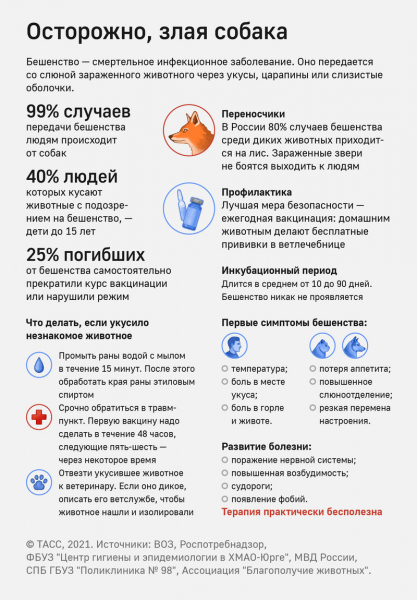 Как вирус бешенства убивает, почти не оставляя следов?