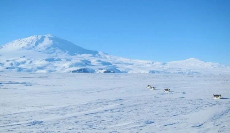 Какова толщина слоя песка в пустынях Земли