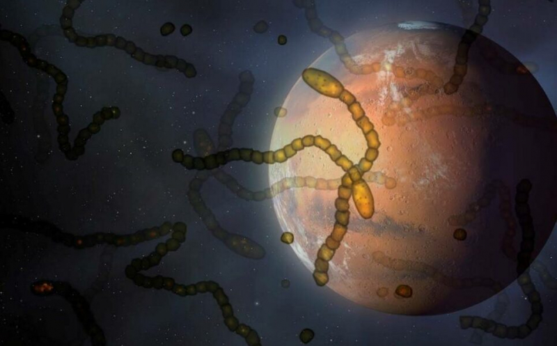 Первые микробы могли разрушить атмосферу Марса из-за изменения климата