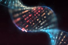 У дрожжей обнаружили гены-убийцы возрастом 100 миллионов лет