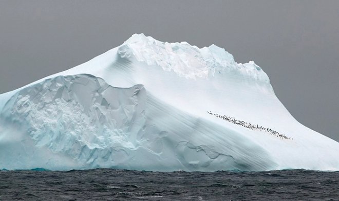 В Антарктиде найдена древняя ДНК возрастом 1 миллион лет