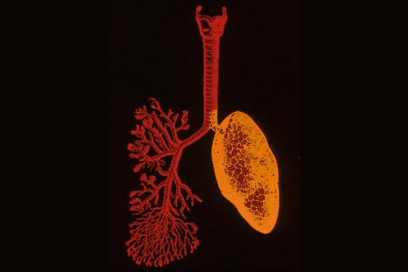 Врачи предположили, что плесень является виновником тяжелого легочного заболевания