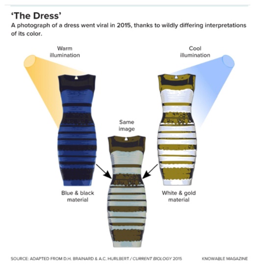 Цвет - в глазах и мозгу смотрящего