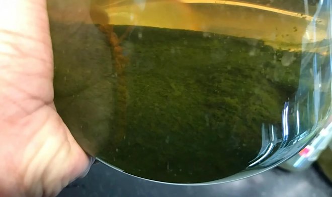 Кофейная гуща оказалась прекрасной основой для получения биодизеля