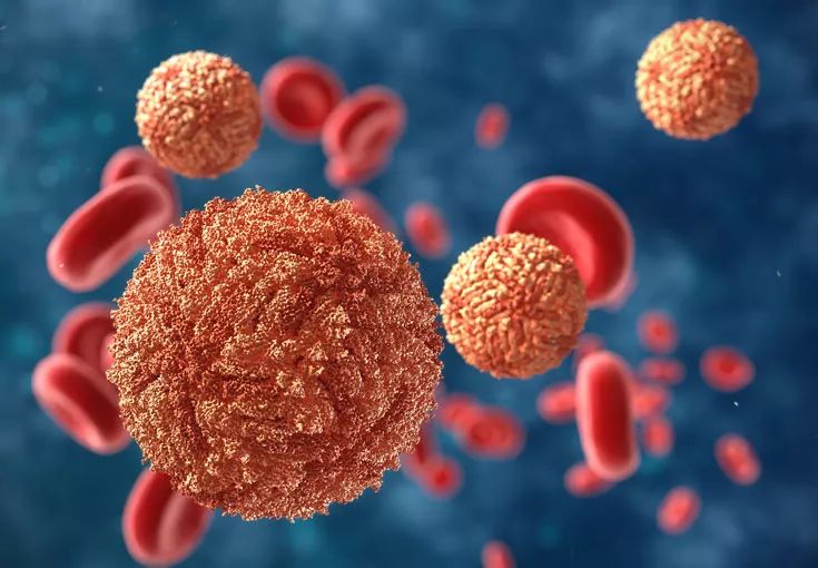 Открыли уникальное антитело, полностью нейтрализующее вирус лихорадки Зика