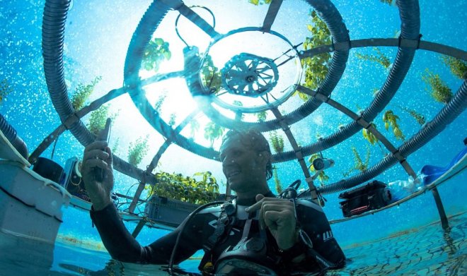 Подводный «Сад Немо» открывает новую веху в обеспечении человечества пищей 