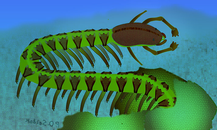 Ученые описали древнее существо с уникальным мозгом: оно «сломало» эволюцию