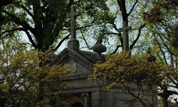 Ученые в Португалии удивились телам умерших, которые массово перестали разлагаться