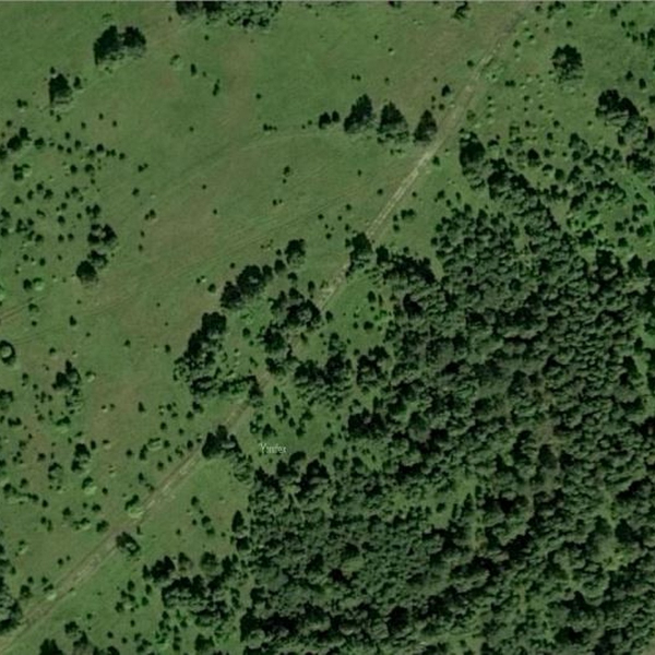 В ЮУрГУ считают, что геоглиф в виде круга в Челябинской области создали древние кочевники