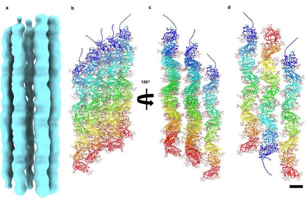Биологи выяснили, как некоторые микроорганизмы выживают в кипящей кислоте