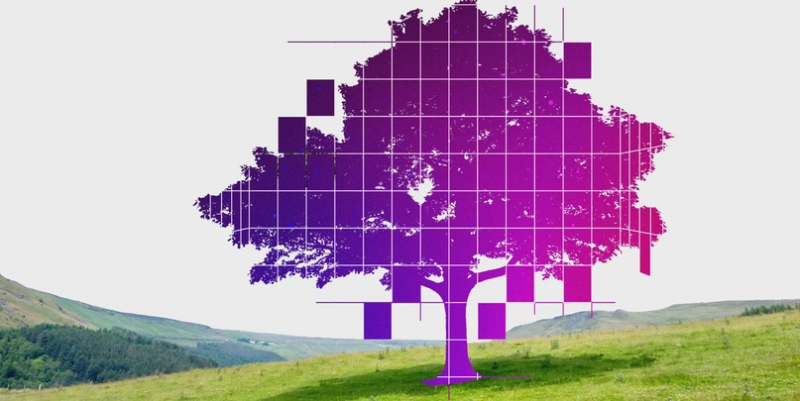 Конечно, мы живем в «Матрице»