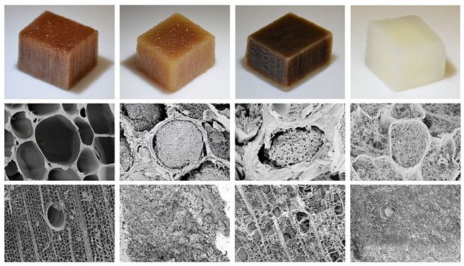 Шведские физики научились добывать энергию из высыхающей древесины 