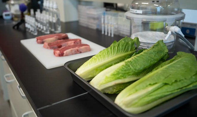 Спрей с вирусами безопасно очистит продукты от бактерий