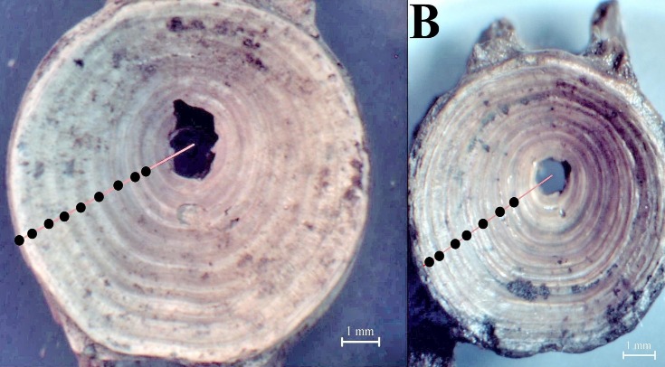 Ученые создали устройство, которое видит светящуюся «ауру» растений